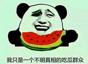 前排吃瓜群,揭秘娱乐圈幕后风云