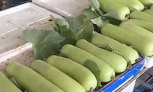 吃瓜不能放松警惕,警惕网络谣言与虚假信息