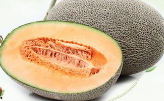 吃哈密瓜嘴巴痒痒,甜蜜背后的小烦恼