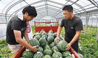 dy拒绝吃瓜,聚焦自我成长