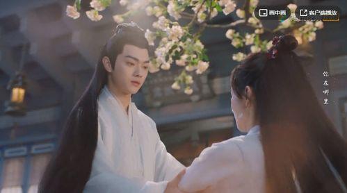 墨白全员吃瓜,揭秘娱乐圈幕后风云