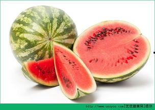 怀孕了吃苏瓜好吗