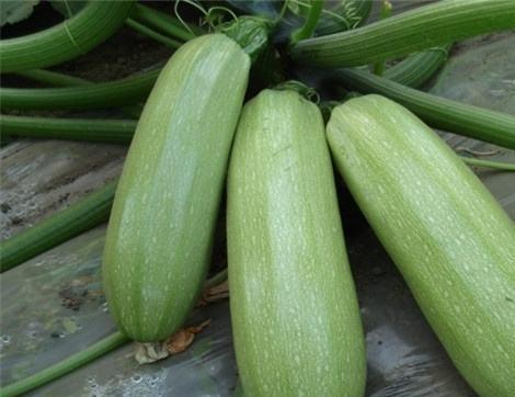 西君吃瓜,揭秘娱乐圈那些不为人知的幕后故事