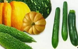 6月吃瓜是指什么瓜,究竟是什么瓜引发全民热议？