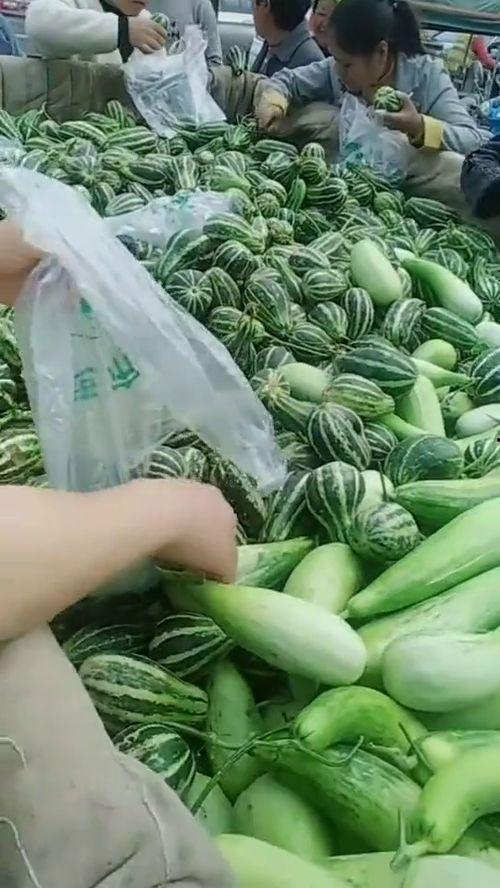 怎么吃拉瓜,解锁美味吃法，尽享拉瓜盛宴