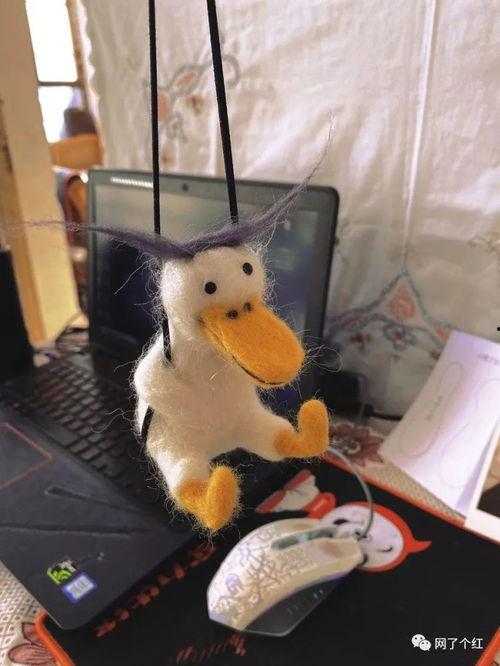 鸭子吃瓜叶子好吗,鸭子食用瓜叶的适宜性与营养分析