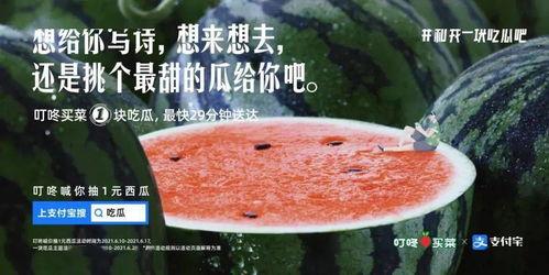 吃瓜销售文案,尽享夏日美味——吃瓜销售文案大盘点