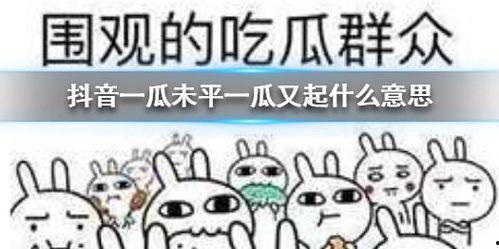 抖音吃瓜加什么,揭秘娱乐圈幕后真相！