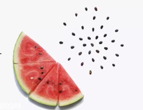 吃瓜不吐籽东营,东营美食之旅