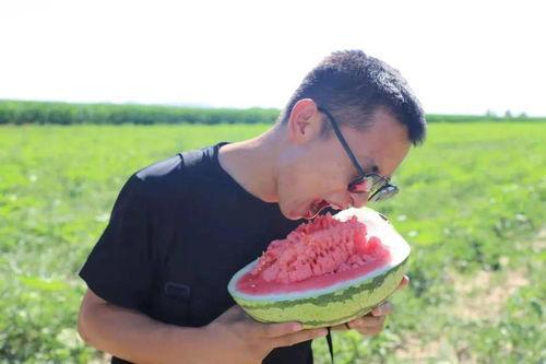 吃瓜呼巴掌,揭秘娱乐圈幕后风云