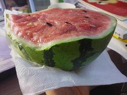 吃瓜的应用,网络时代的娱乐风向标