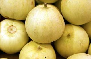 孕妇可以吃朴瓜吗