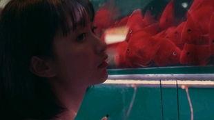 吃瓜看戏女孩,网络时代的娱乐观察者