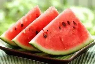 上班吃瓜原视频