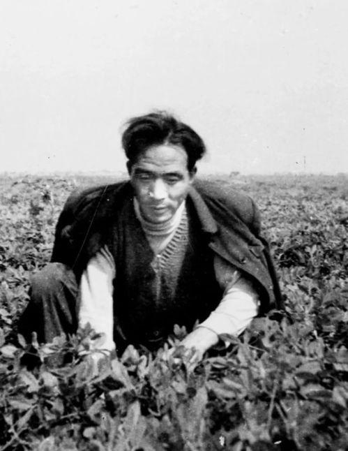 焦裕禄吃瓜视频,一段感人至深的扶贫故事